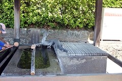 萅